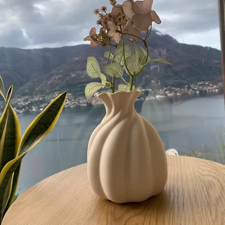 View Pensión Faggeto Lario