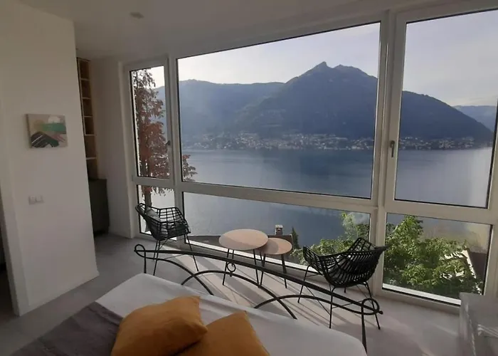 View 파게토 라리오